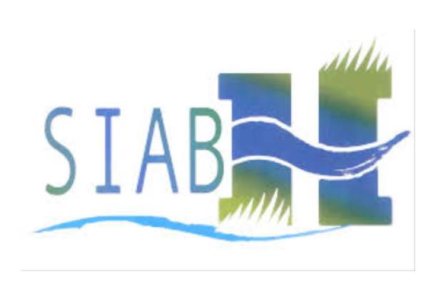 SIABH